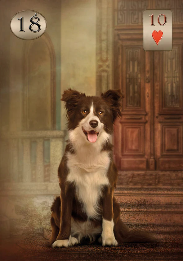 Dog sitting in a room with decorative elements and card numbers on the sides.