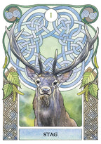 Card featuring a stag with intricate Celtic knotwork and natural elements.