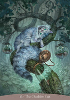 Illustration of a cheshire cat in a fantasy setting with plants and a jar.