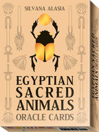 Box of Egyptian Sacred Animals Oracle Cards with beetle illustration on beige background