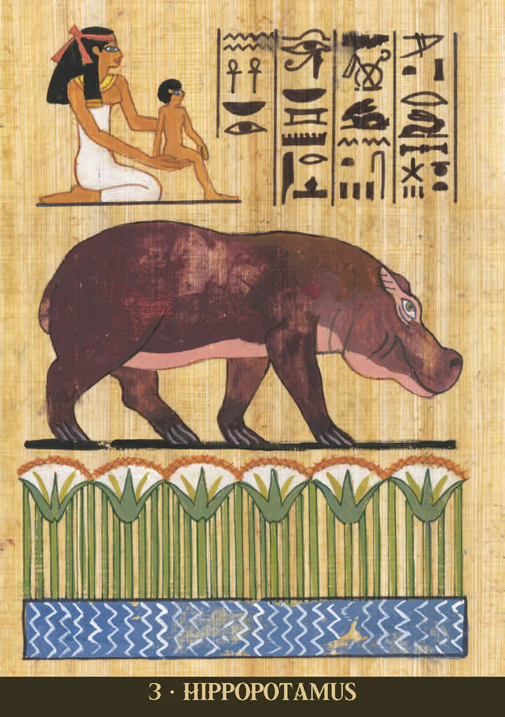 Egyptian-style illustration of a hippopotamus with hieroglyphics on a textured background
