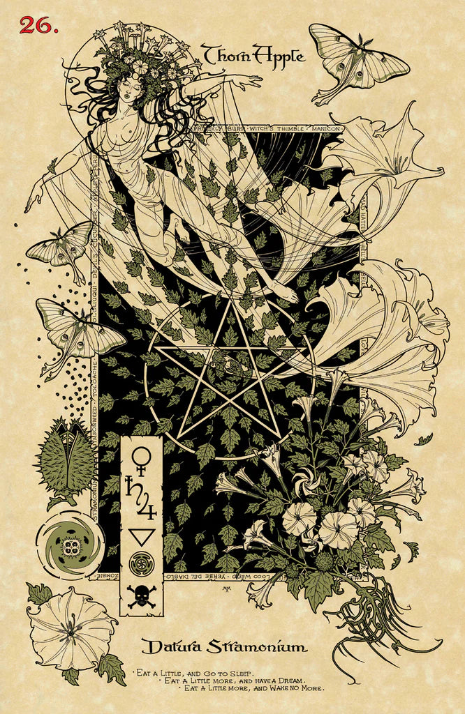 Artistic illustration of a woman intertwined with plants and symbols on a textured background