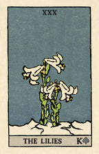 Card from a tarot deck featuring 'The Lilies' with a blue background and white lilies.