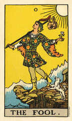 Tarot card titled 'The Fool' with a person in a colorful dress standing on a rock, holding a dog and a flower, against a yellow background.