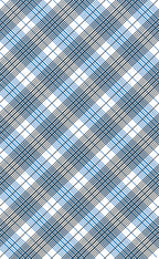 Plaid pattern with blue and black lines on a white background