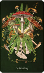 Illustration of mushrooms and ferns with a key, titled '34 Grounding', on a dark background.