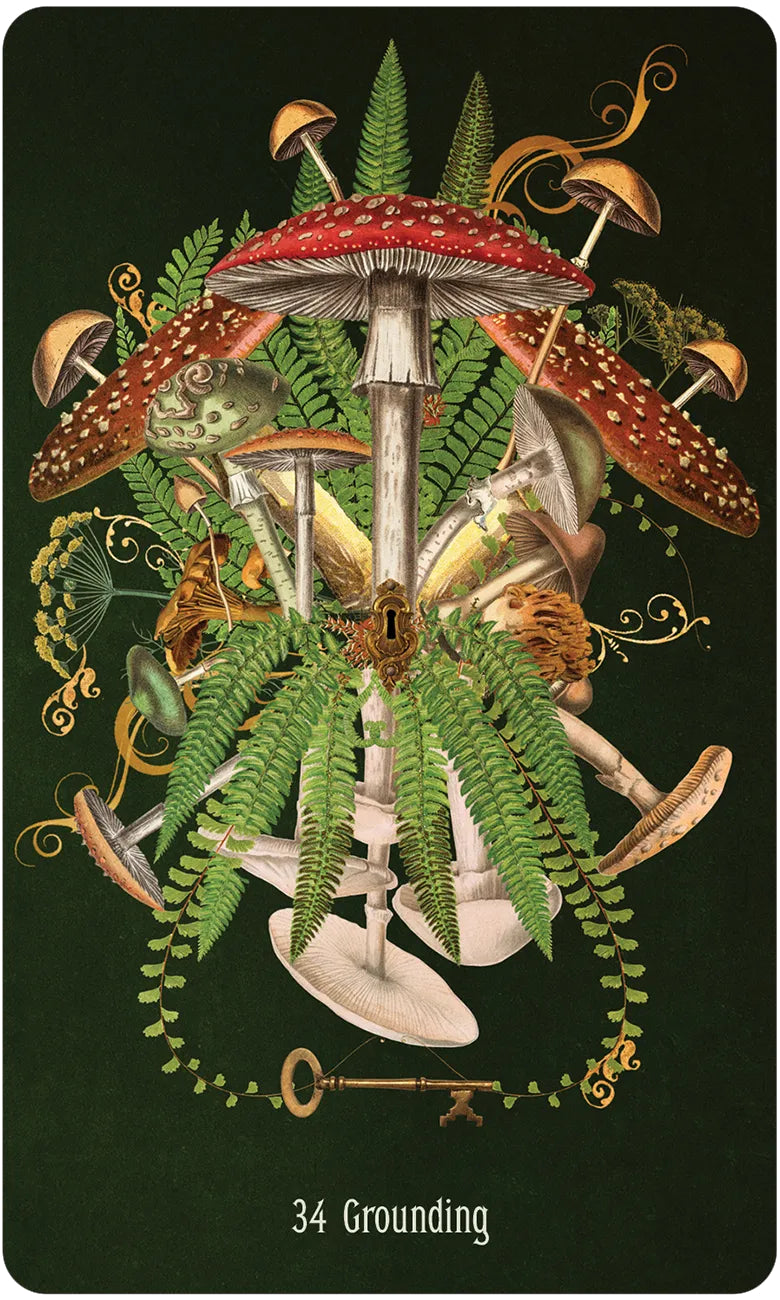 Illustration of mushrooms and ferns with a key, titled '34 Grounding', on a dark background.