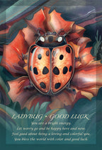 Illustration of a ladybug on a flower with text about good luck and positivity.