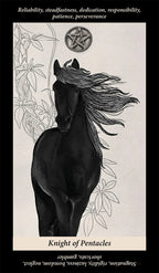 Soul Reflections Tarot