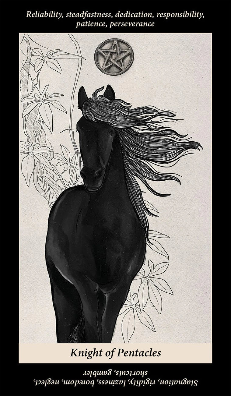 Soul Reflections Tarot