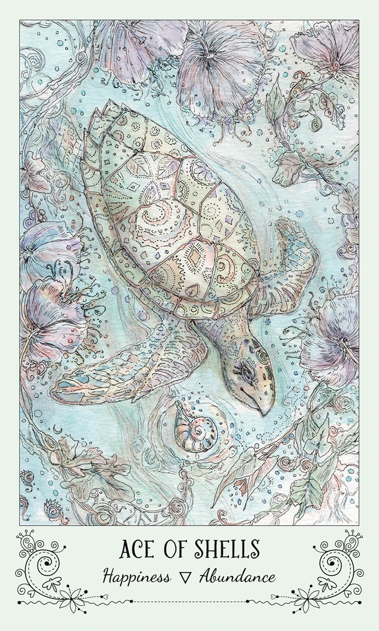 Colorful illustration of a turtle with shell patterns on a light blue background, titled 'Ace of Shells'.