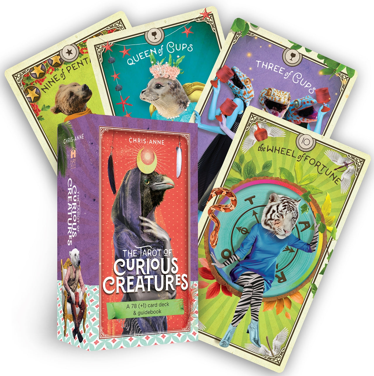 Collection of tarot cards featuring 'Curious Creatures' design on a white background
