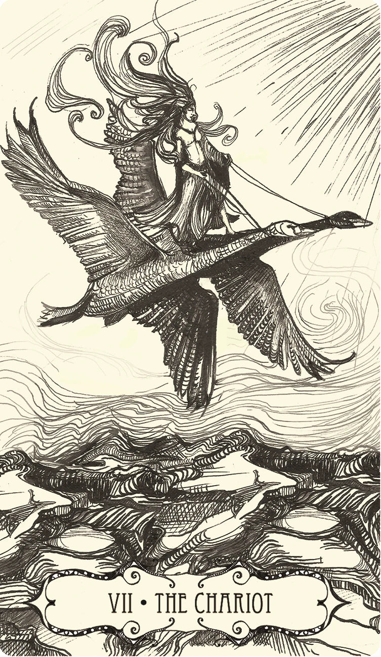 Black and white illustration of 'The Chariot' tarot card with a woman on a chariot over water.