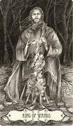 Illustration of a figure labeled 'King of Wands' in a dark forest setting.
