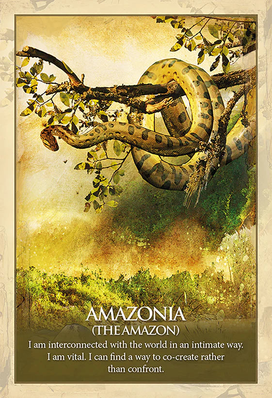 Poster of a snake on a branch with Amazonian theme and text.
