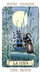 Card featuring beetles under a moonlit sky with 'La Luna' and 'The Moon' text.
