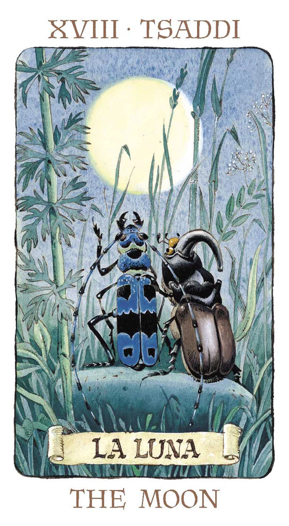 Card featuring beetles under a moonlit sky with 'La Luna' and 'The Moon' text.
