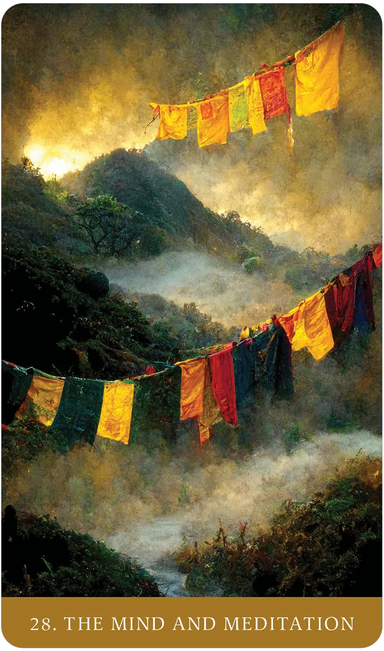 The Path of Light Oracle