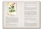 Open book with botanical illustration and text on a white background