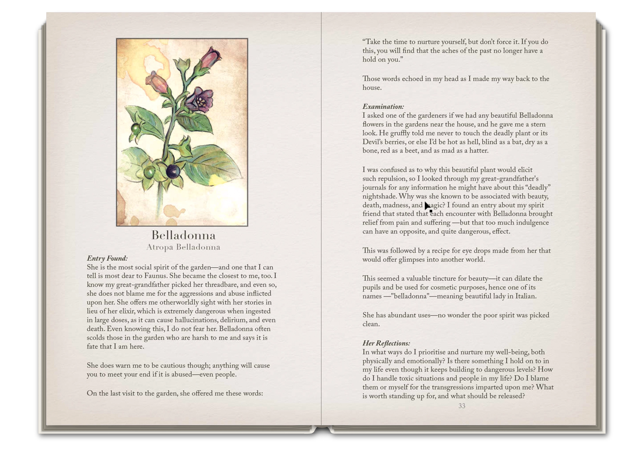 Open book with botanical illustration and text on a white background