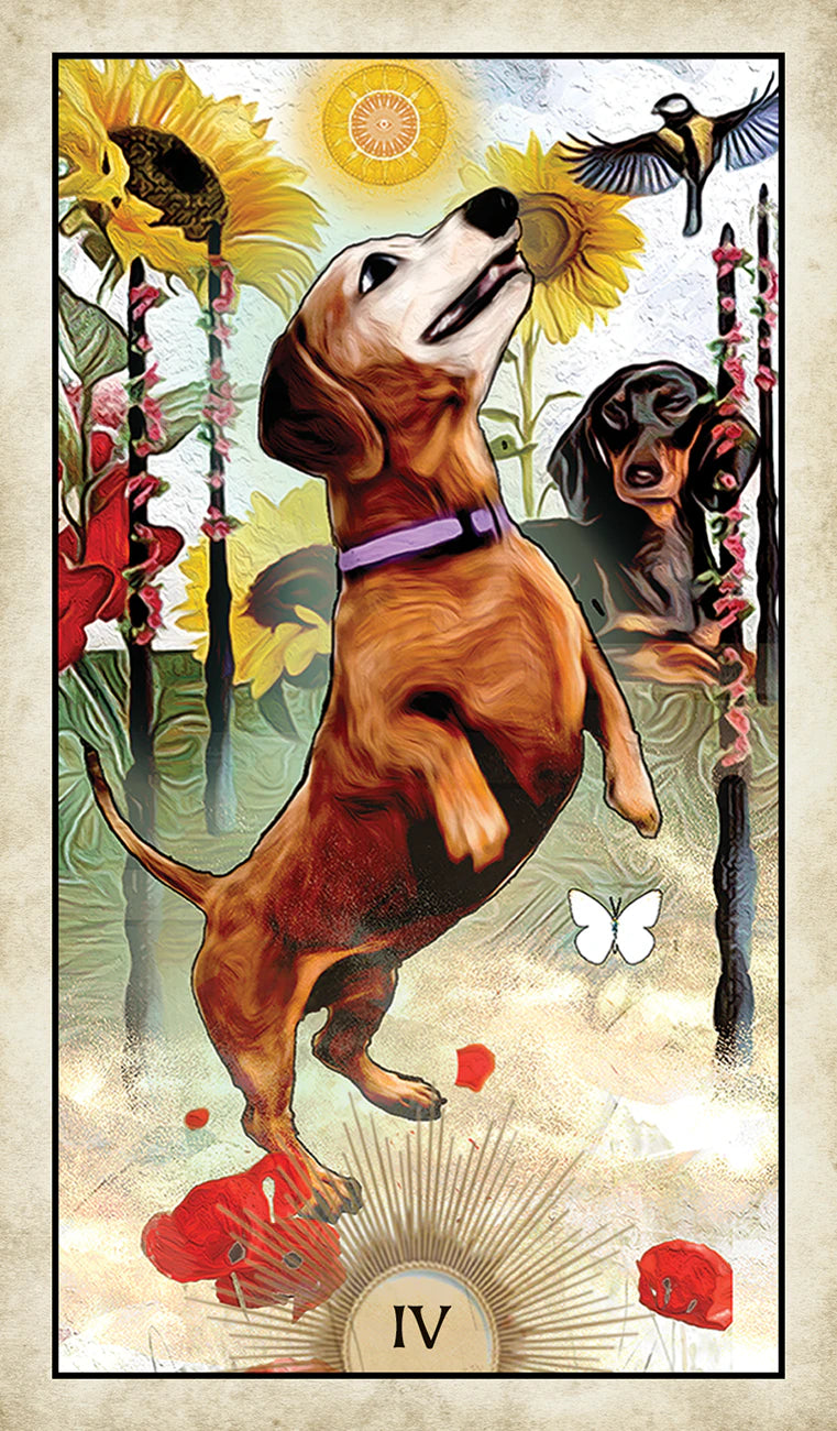 Card with two dachshunds, sunflowers, and a butterfly on a decorative background