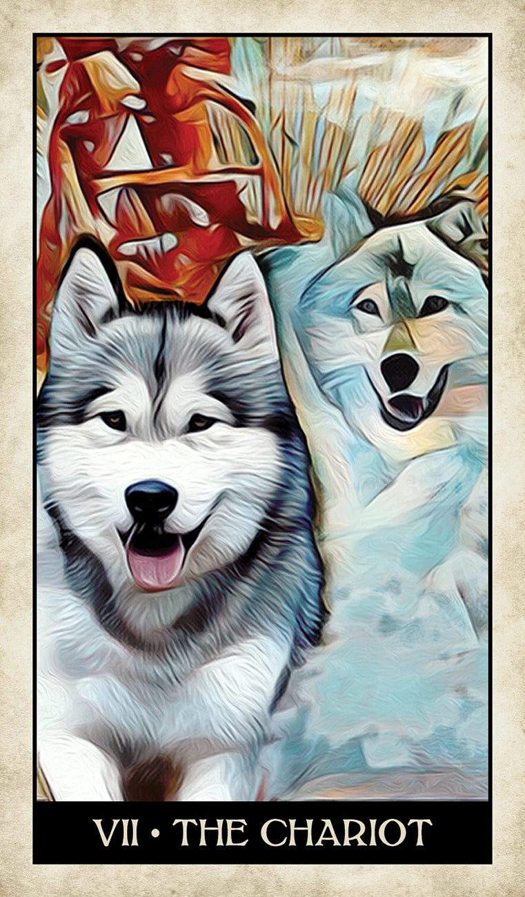 Artistic depiction of a dog with abstract elements and 'The Chariot' tarot card text.