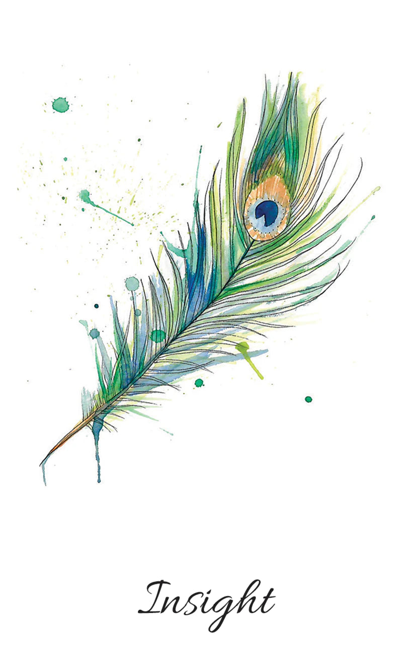 Colorful peacock feather illustration with 'Insight' text on a white background