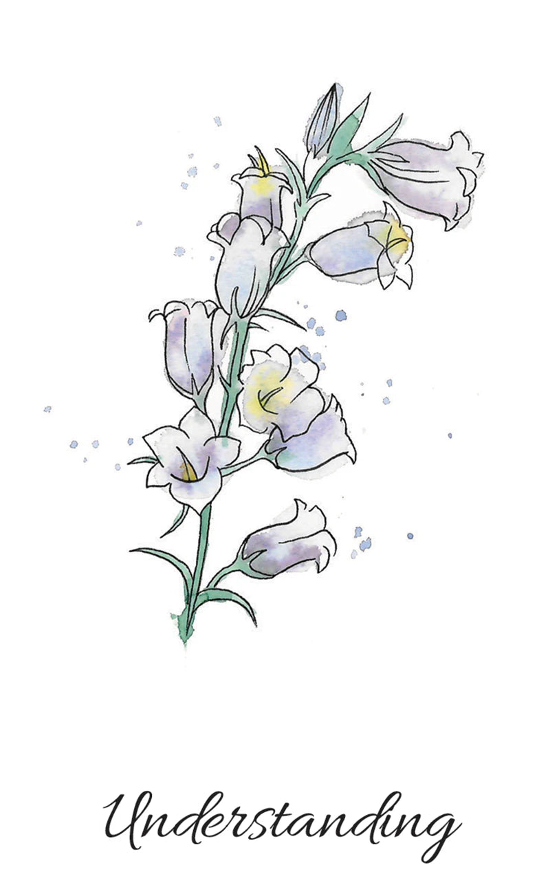 Illustration of flowers with the word 'Understanding' below on a white background