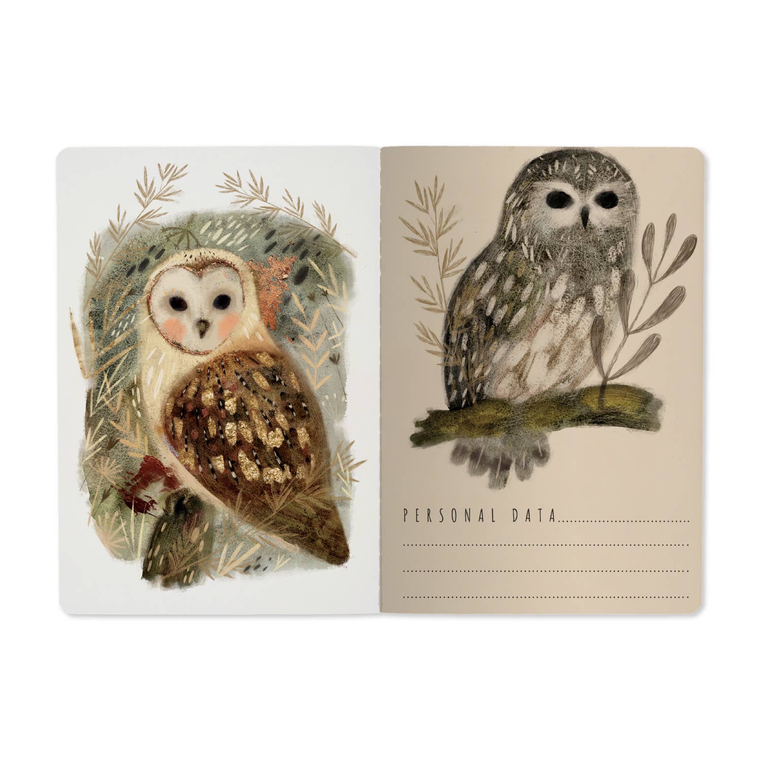 Book with owl illustrations on a white background