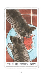 Illustration of two cats looking into a mirror with a reflection of a boy, titled 'The Hungry Boy'.
