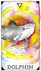 Illustration of a dolphin with a colorful, spiral background labeled 'Dolphin'.