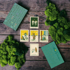 Set of tarot cards on a wooden surface with greenery