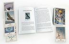 Open book with tarot cards on a white background