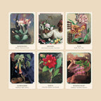 Set of six botanical-themed cards with illustrations and text on a beige background