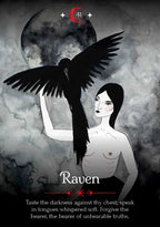 Illustration of a woman with a black raven on her shoulder against a moonlit sky.