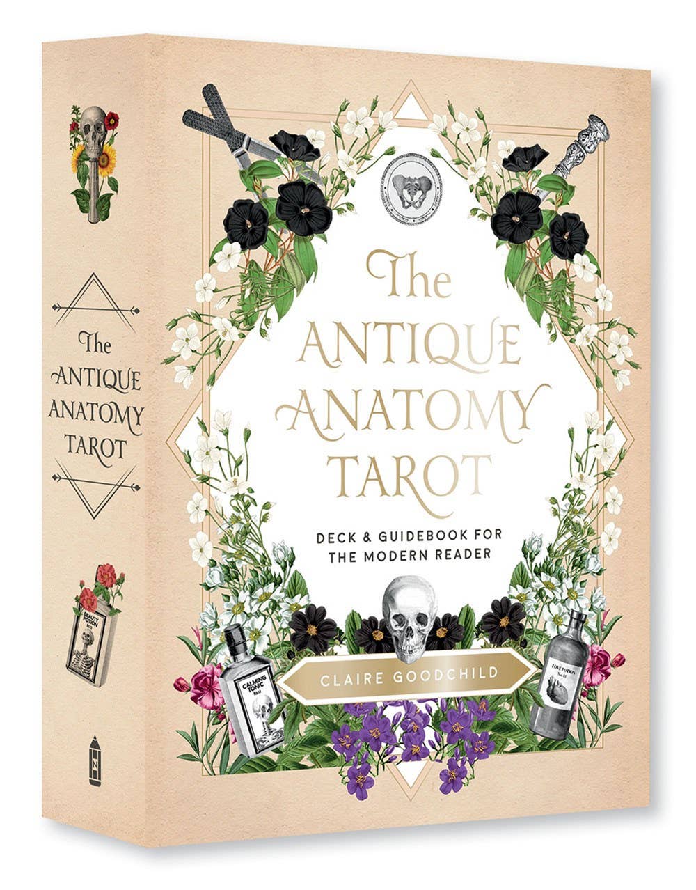 The Antique Anatomy Tarot packaging with floral and anatomical design elements.
