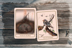 Two illustrated tarot cards, 'Four of Swords' and 'Five of Swords,' displayed on a rustic weathered wood background.