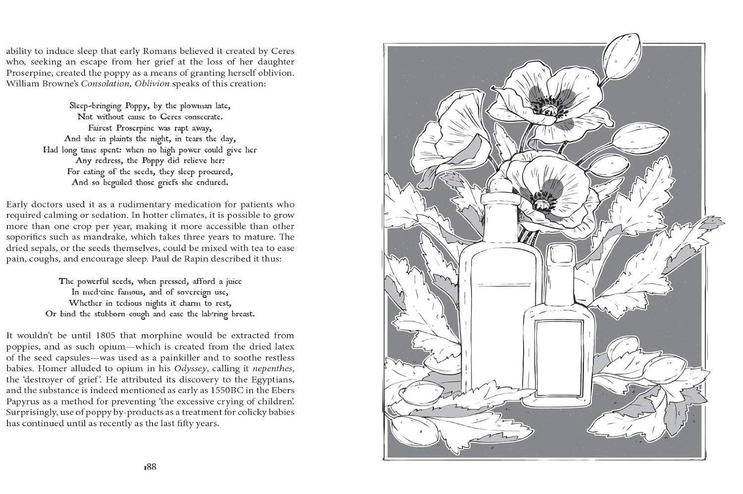 Illustration of flowers and bottles with text on a gray background