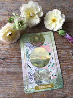 The Illuminated Earth Oracle Deck