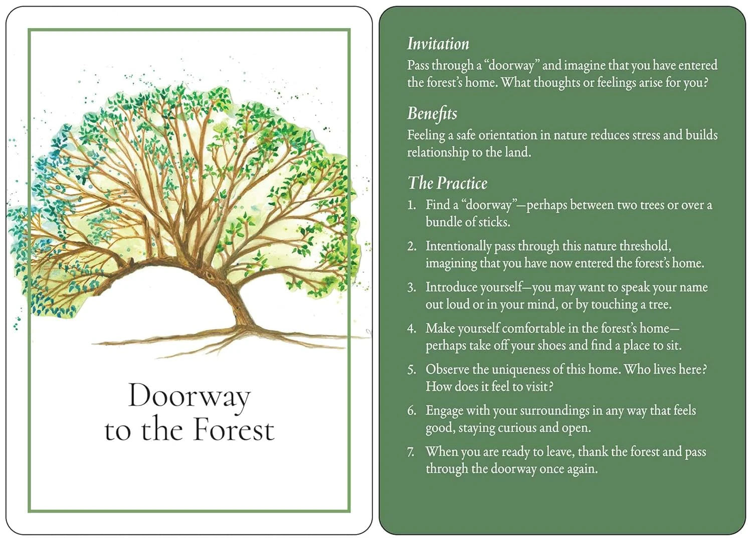 An Invitation to Forest Bathing