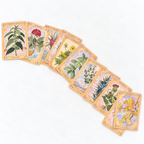A fan arrangement of illustrated tarot-style cards on a plain white background, showing botanical artwork and card titles such as Regale, Conijillo, Tostón, Tóto, Cúmpre, and Cúchalchi.