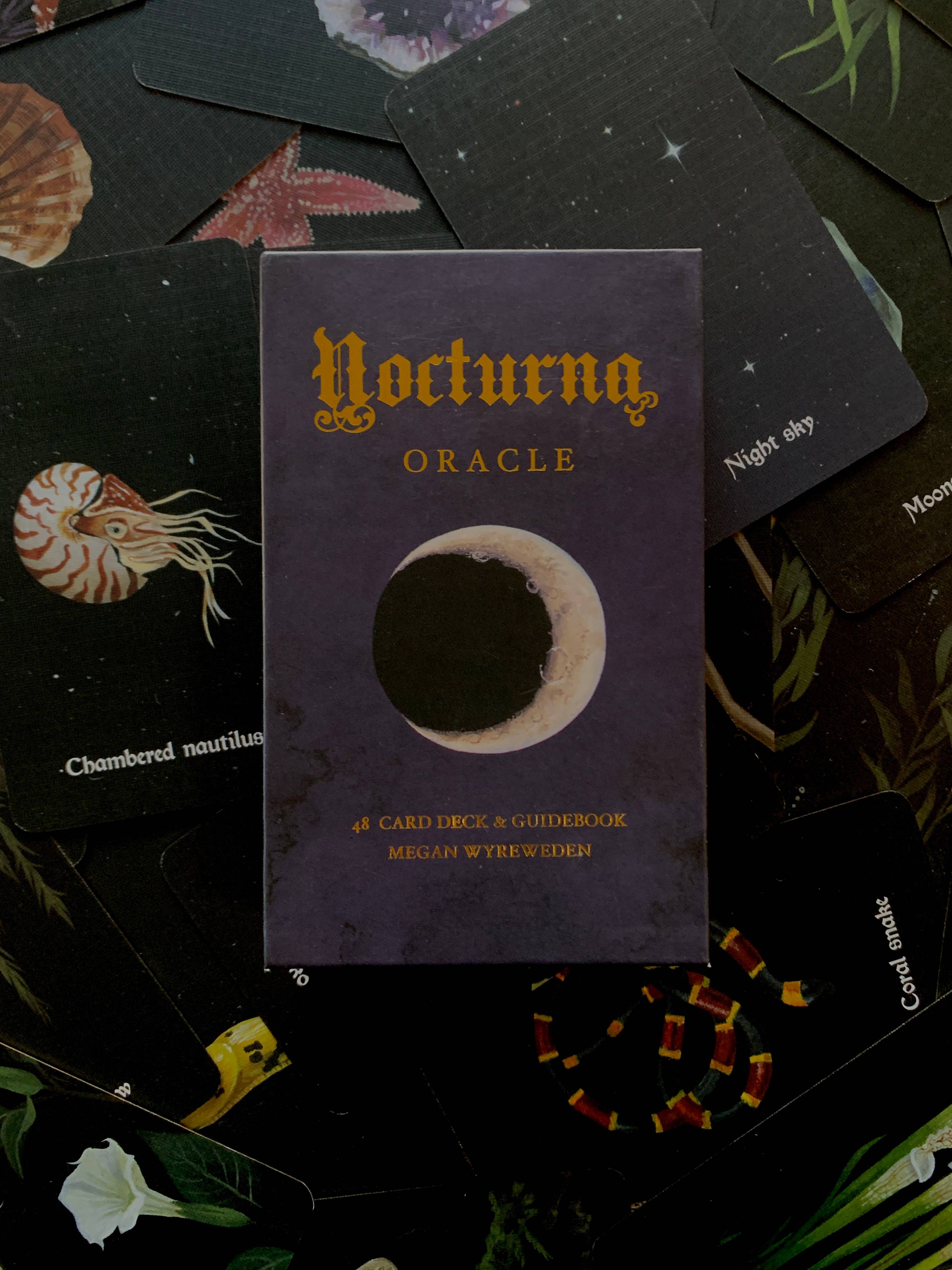 Nocturna Oracle card deck on a dark background with tarot cards
