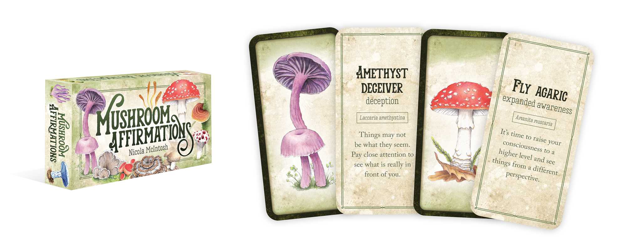 Mushroom-themed affirmation cards with packaging on a white background