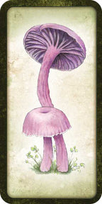 Illustration of a pink mushroom on a textured background