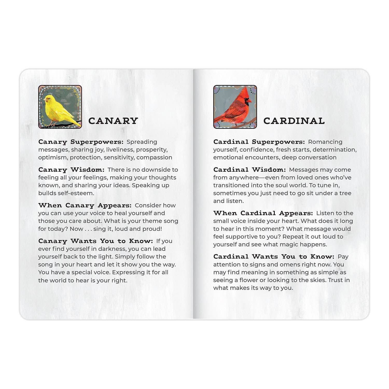 Book open to pages about canaries and cardinals with illustrations and text.