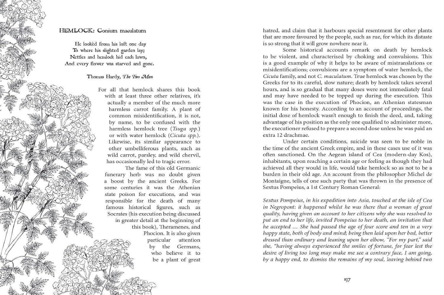 Book page with text and botanical illustrations on a white background