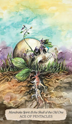 Card featuring a skull, mandrake root, and plants with a colorful watercolor background.