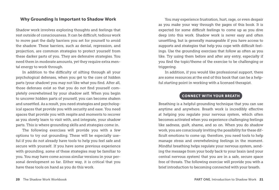 Shadow Work Workbook
