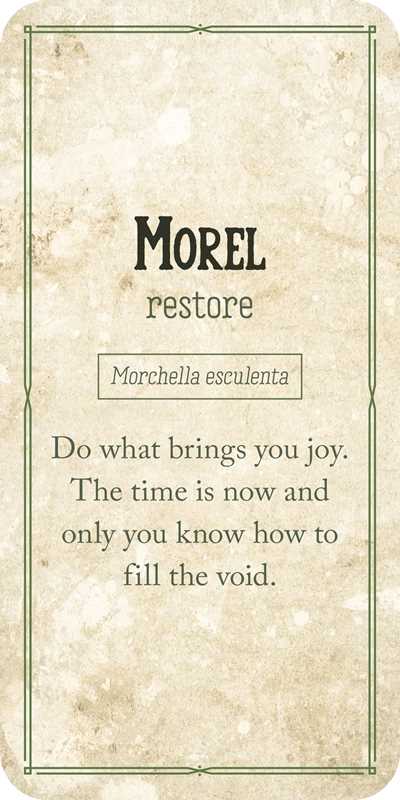 Motivational quote card with text 'Morel restore' and inspirational message on a textured background.
