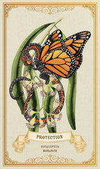 Illustration of a butterfly on eucalyptus leaves with 'Protection' text and decorative elements.
